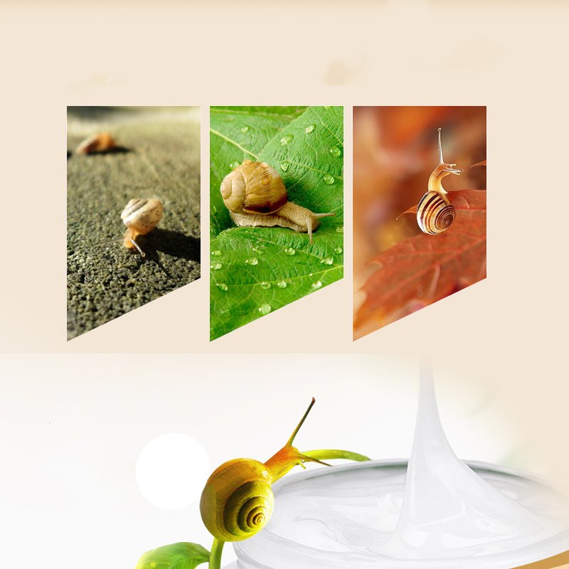 Anti Aging Snail Essence Facial Cream