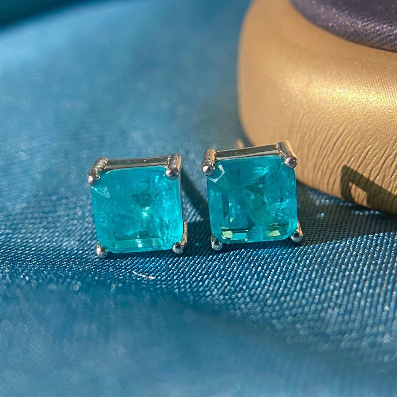 Women's Paraiba Tourmaline 925 Sterling Silver Stud Earrings