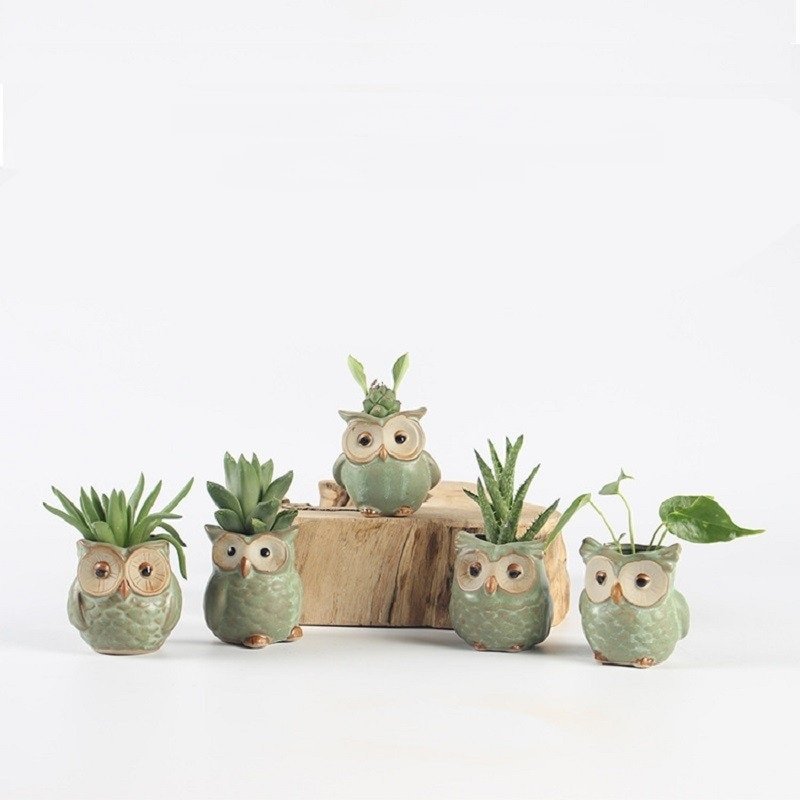 Set of 5 Ceramic Plant Pots in Owl Shape