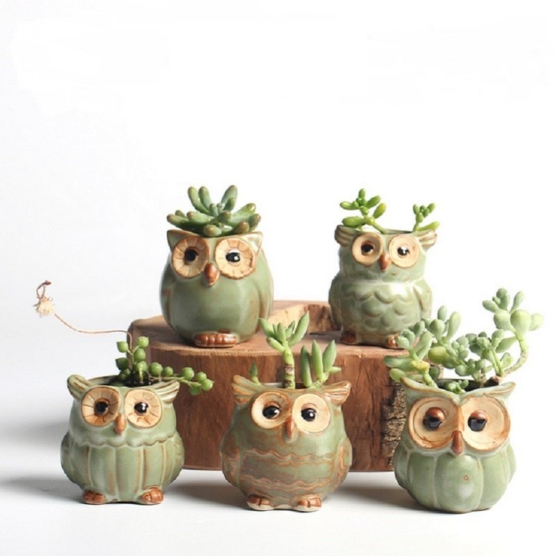 Set of 5 Ceramic Plant Pots in Owl Shape