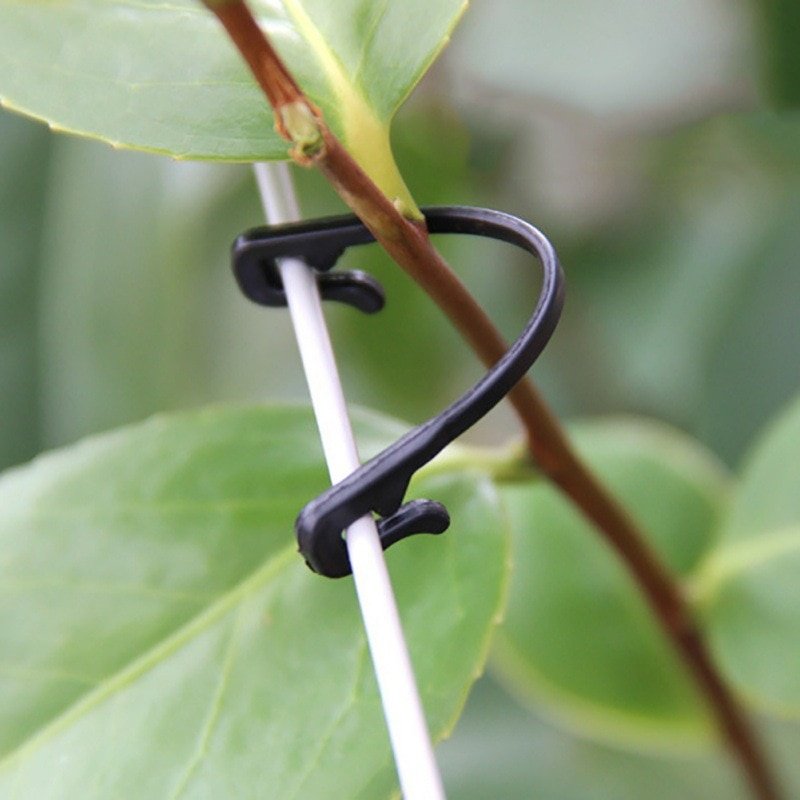 Set of Plant Support Clips in Black Color