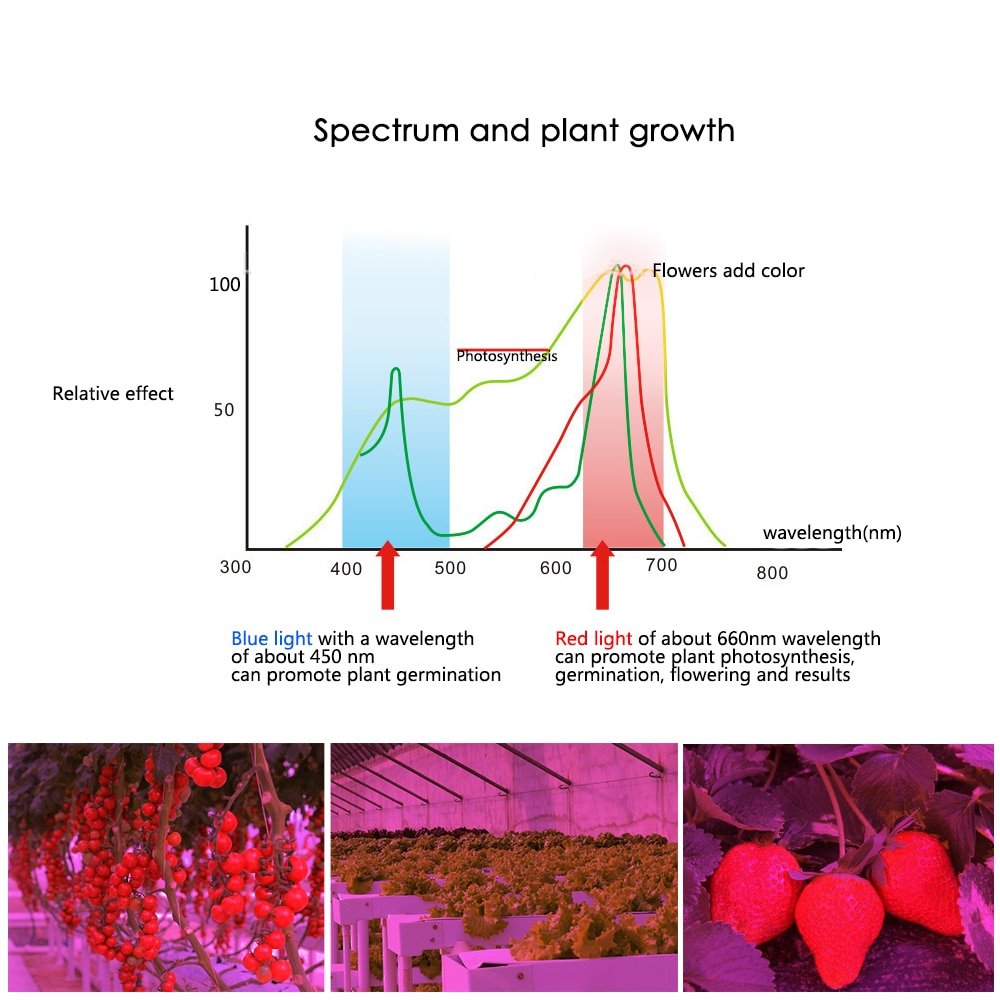 Full Spectrum LED Bulb for Plant Growth