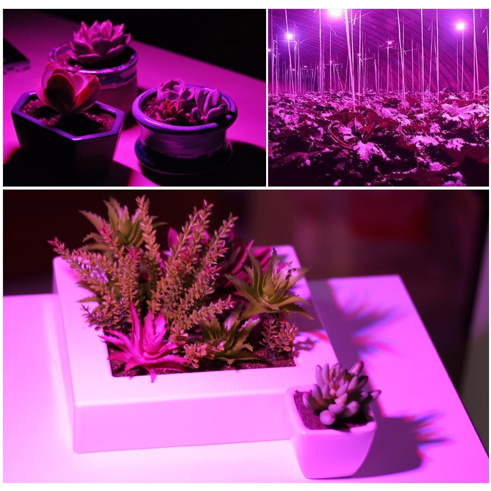 Full Spectrum LED Bulb for Plant Growth