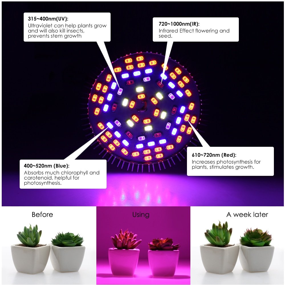 Full Spectrum LED Bulb for Plant Growth